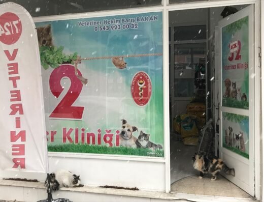 32 Veteriner Kliniği