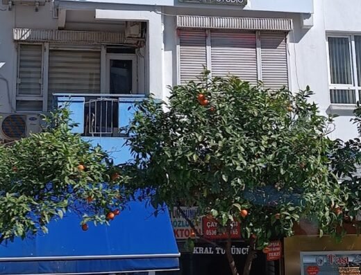 Antalya Güzellik Merkezi Nora Face Beauty Studio