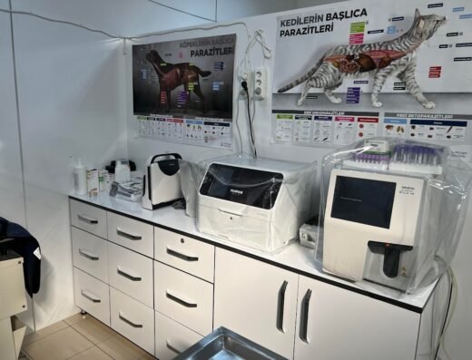 Tierärztliche Klinik für Haustiere