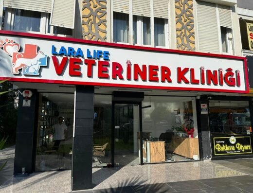 Lara Life Veteriner Kliniği – ветеринарная клиника