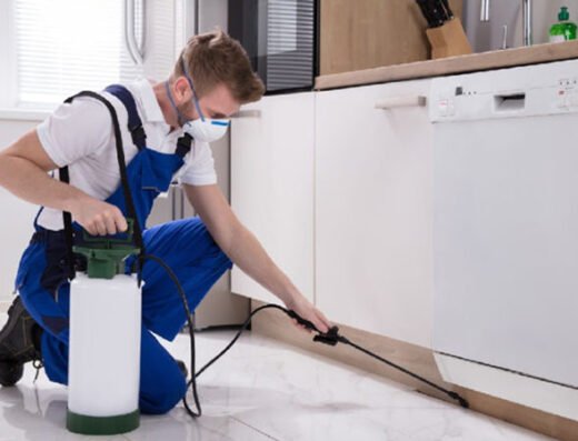 Lotus Temizlik Hizmetleri