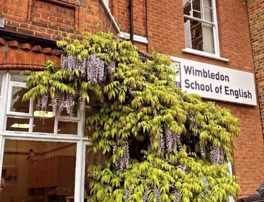 Wimbledon Yabancı Dil Kursu Antalya Şubesi